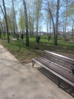 Субботник